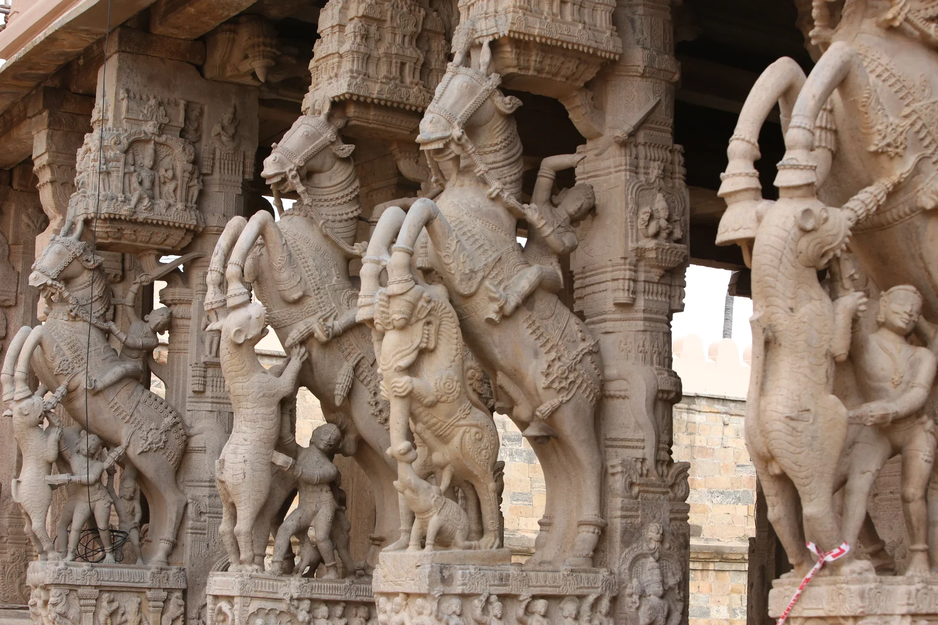Tanjore Horses